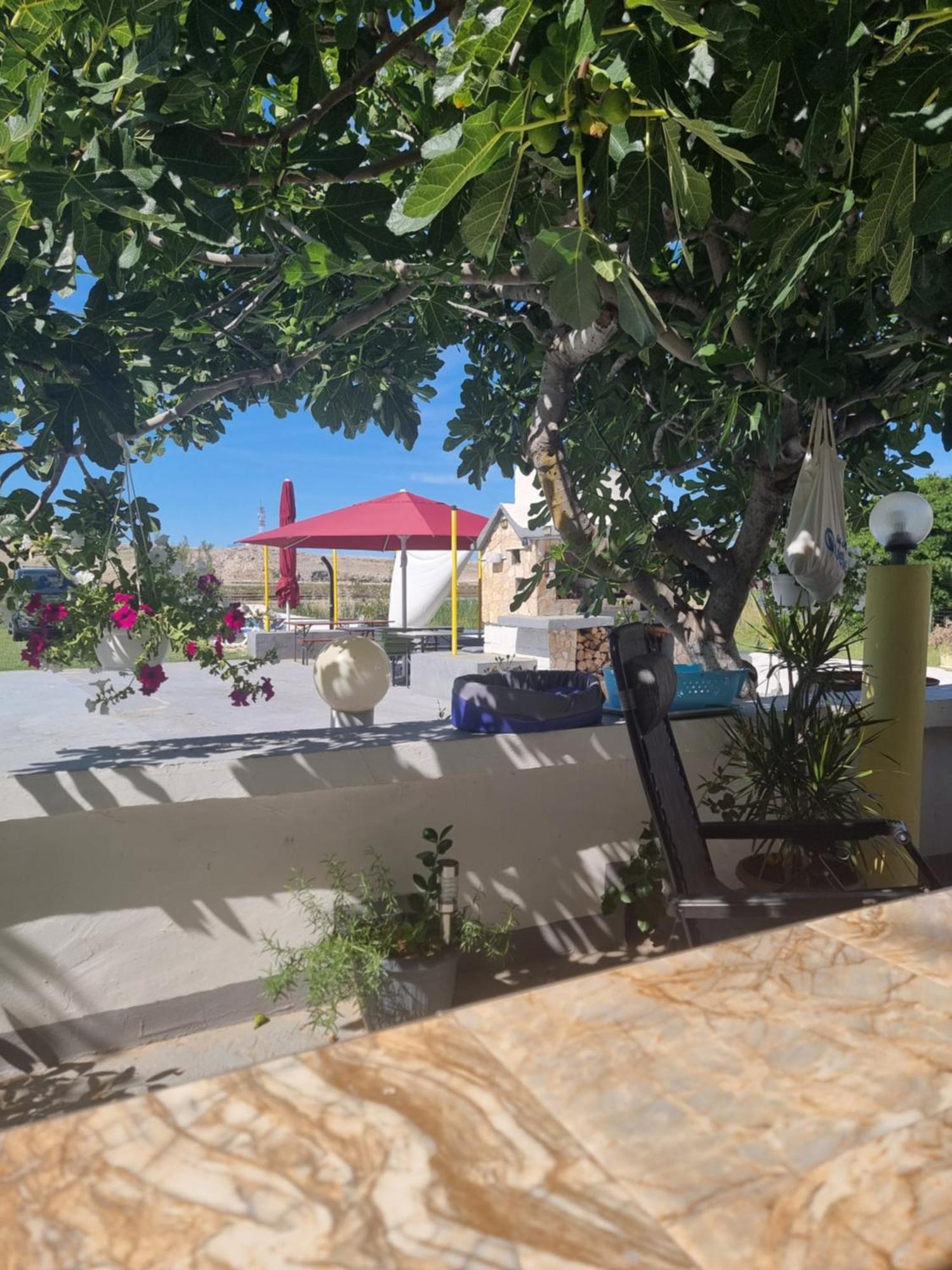 Apartmani Alen Dinjiška Exterior foto