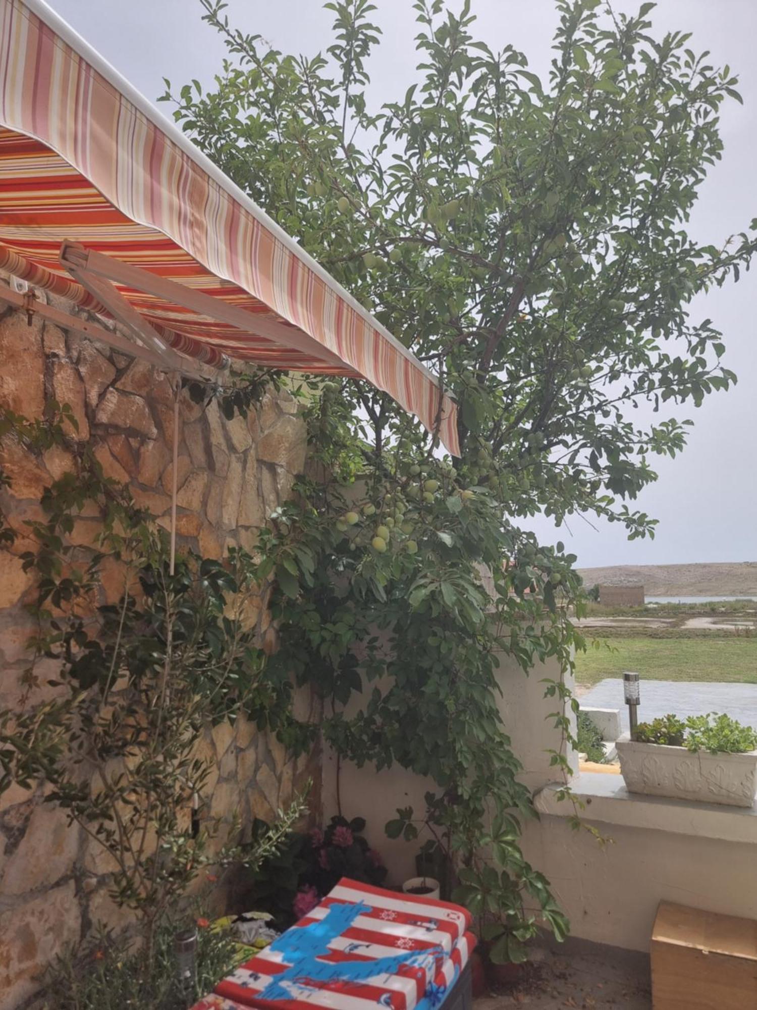 Apartmani Alen Dinjiška Exterior foto
